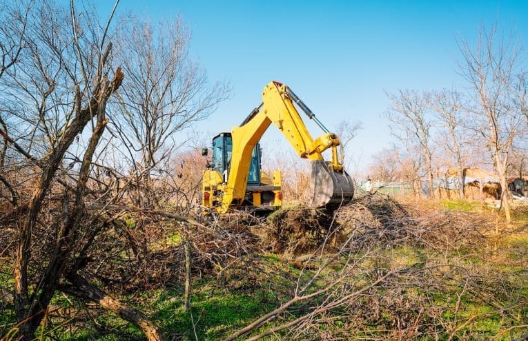 Land Clearing